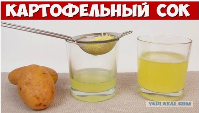 Кудряшка заананасила цены