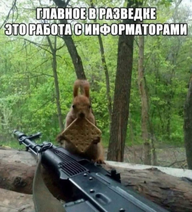 Картиночки, баянчики 26 декабря