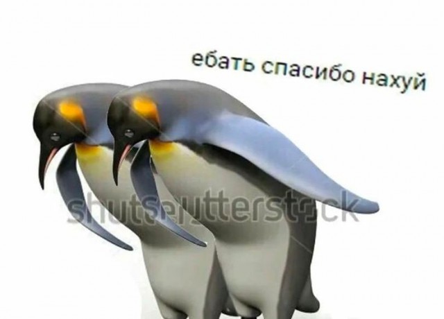Кубе приготовиться?