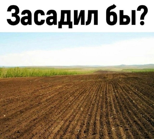 Так себе картинки 12.05.26