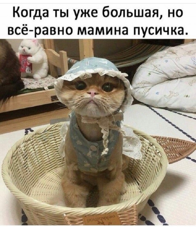 Так себе картинки 17.05.26