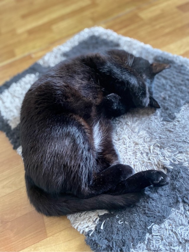 Котское.