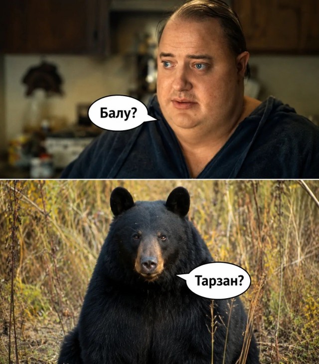 Пятничные бояны