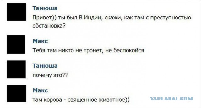 Смешные комментарии из социальных сетей