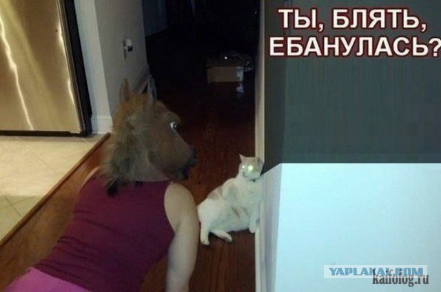 Тема для юмора