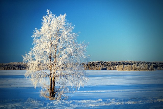 Скоро зима, товарищи !