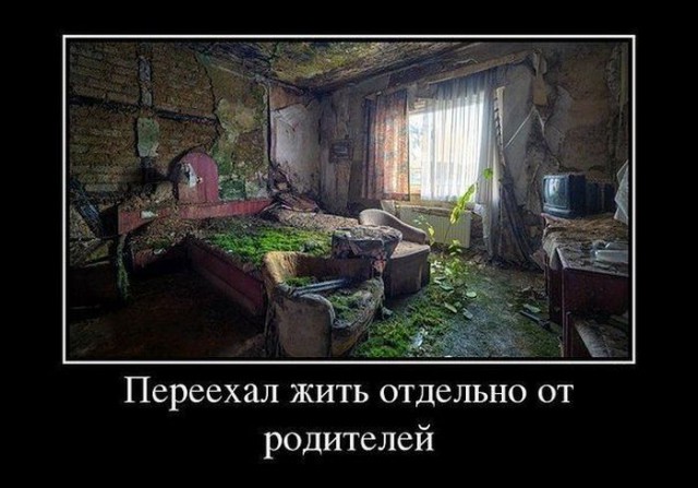 Демотиваторы.
