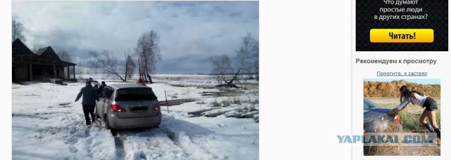 Озеленение Владивостока.