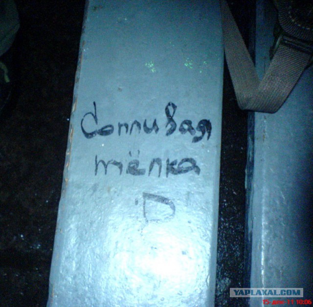 Выносящие мозг надписи на асфальте