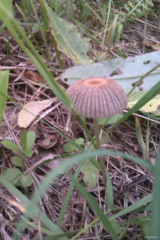 Просто выходные...