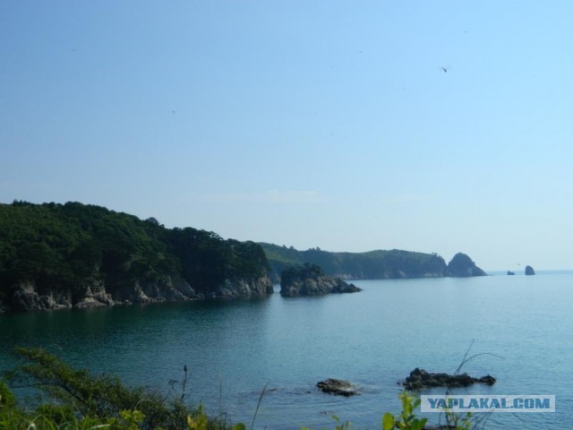 Бухта Теляковского