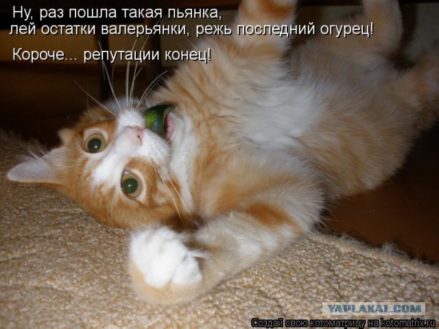 ЯП 1 000 000