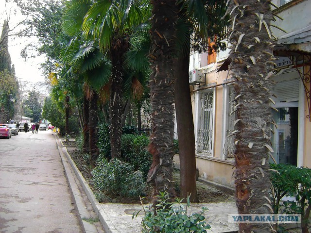 Самострой
