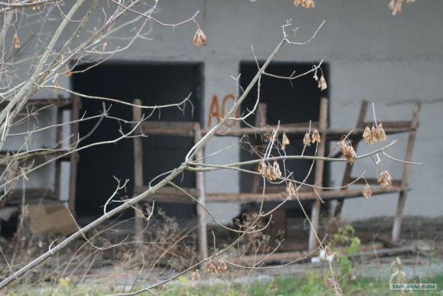 Заброшенная танковая база.