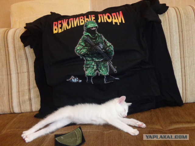 Вежливо и сердито