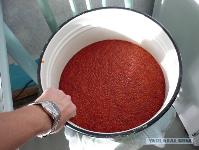Какие продукты уникальны для Вашего региона?