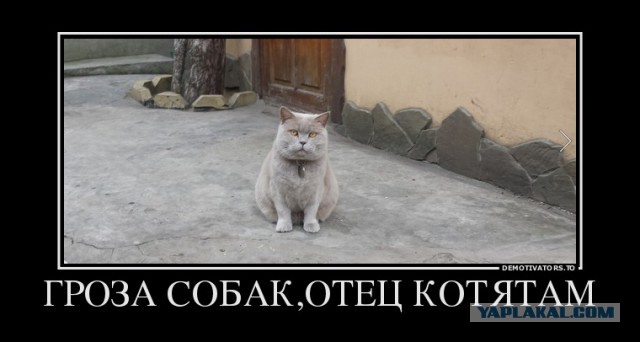 Смешные комментарии из социальных сетей 05.05.15