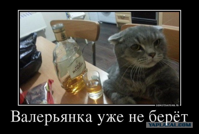 Картинки с буквами -11