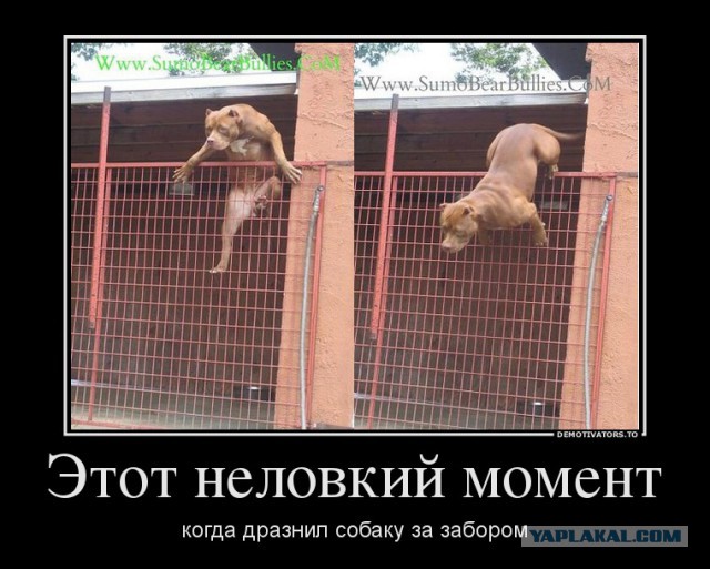 Псс… парень побегать не хочешь?