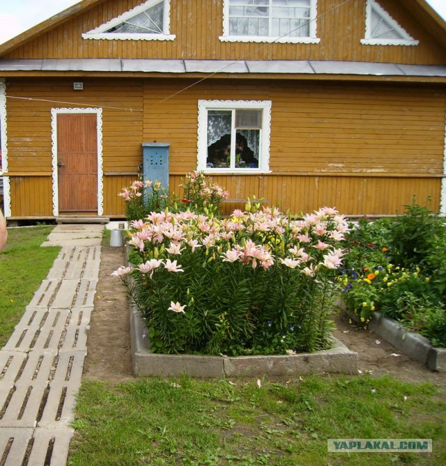 Новое крыльцо в Родительский дом