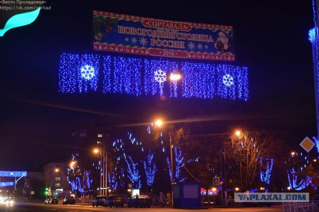 Вы такого еще не видели!