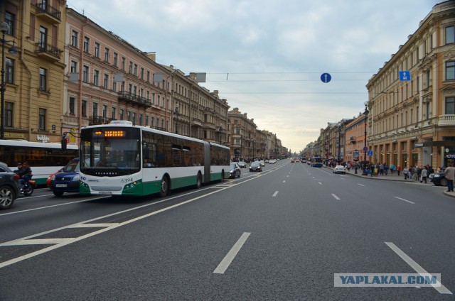 Проспекты Санкт-Петербурга, продолжение