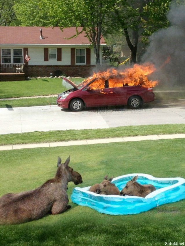 Объясните мне, что происходит !?