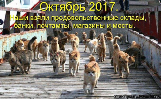 Подборка картинок на 05.04.16
