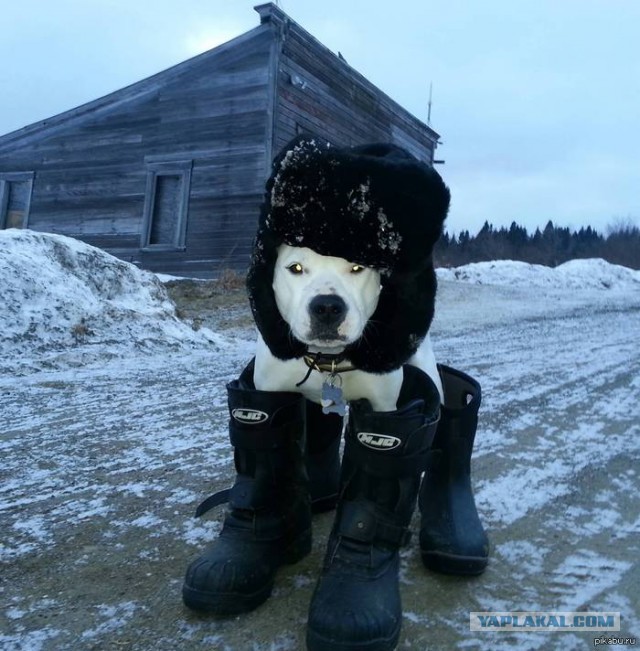 Разрухи точно не будет...