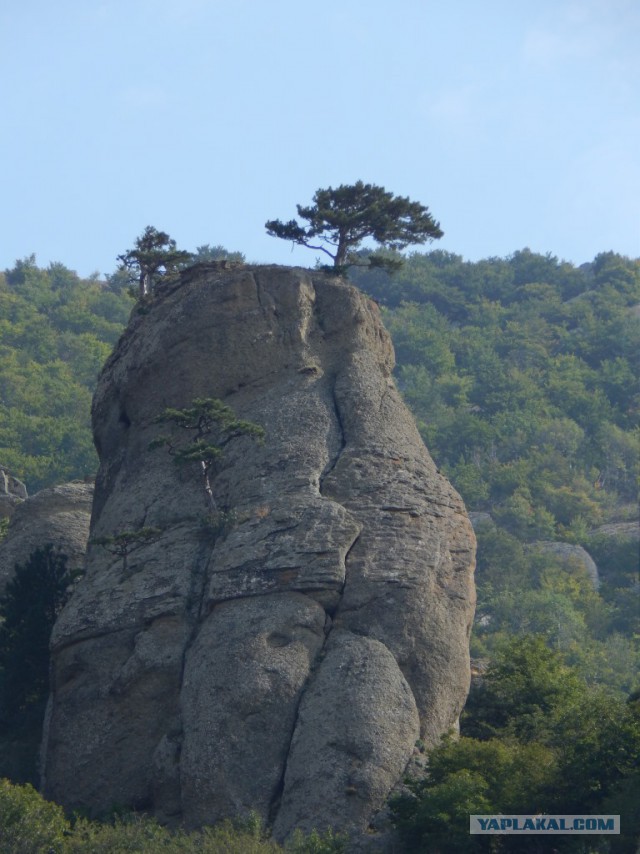Немного солнца и тепла. Крымские виды.
