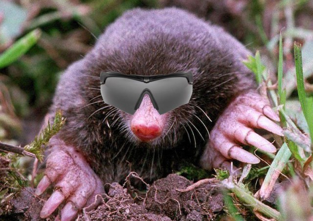 Агитационный ролик ВСУ