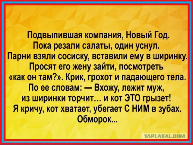 Смешные комментарии из социальных сетей 09.12.2016