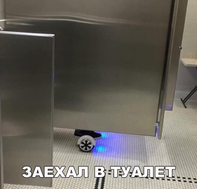 Подборка безудержного веселья