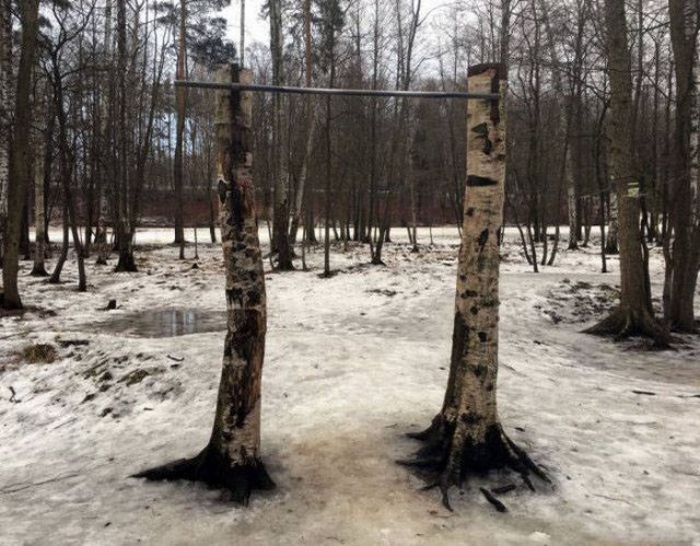 Подборка безудержного веселья