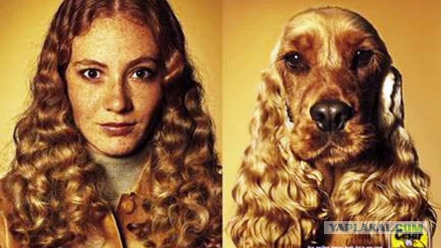 Кот бесподобен!