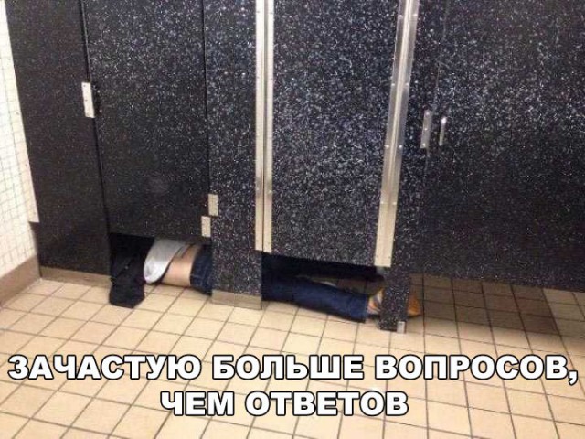 Подборка безудержного веселья