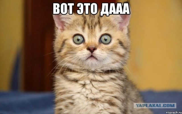 «Самопаркующиеся» тапочки
