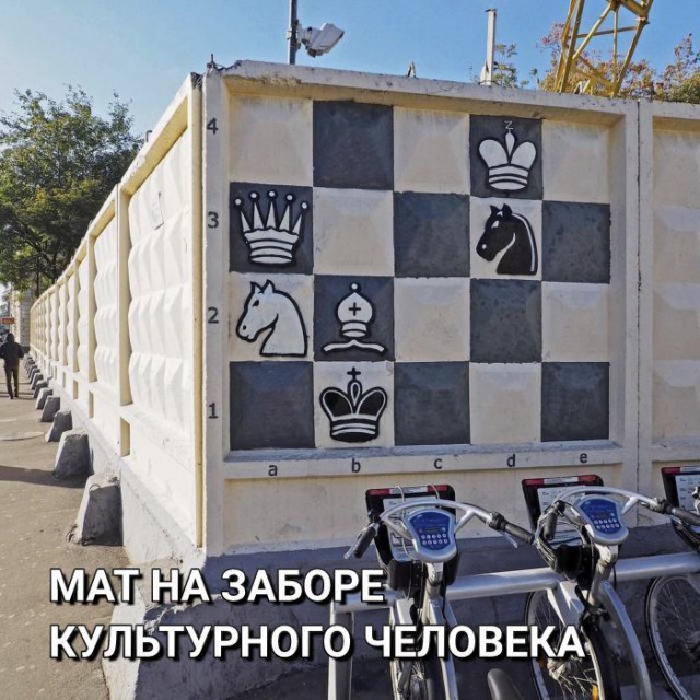 Человек разумный. Но это не точно