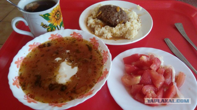 Как дёшево и вкусно отобедать в столовой. Рекомендации для офисных работников