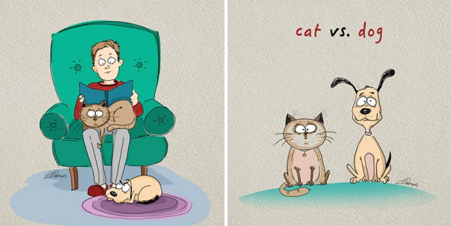 Кошки или собаки?