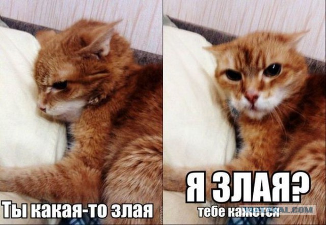 Отношения с женщиной в картинках, навеяно японскими Аниме (шутка)