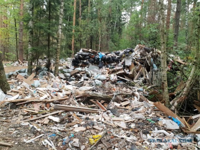 Про Финлаг в Карелии и о том, нужно ли нам к еврочеловекам.
