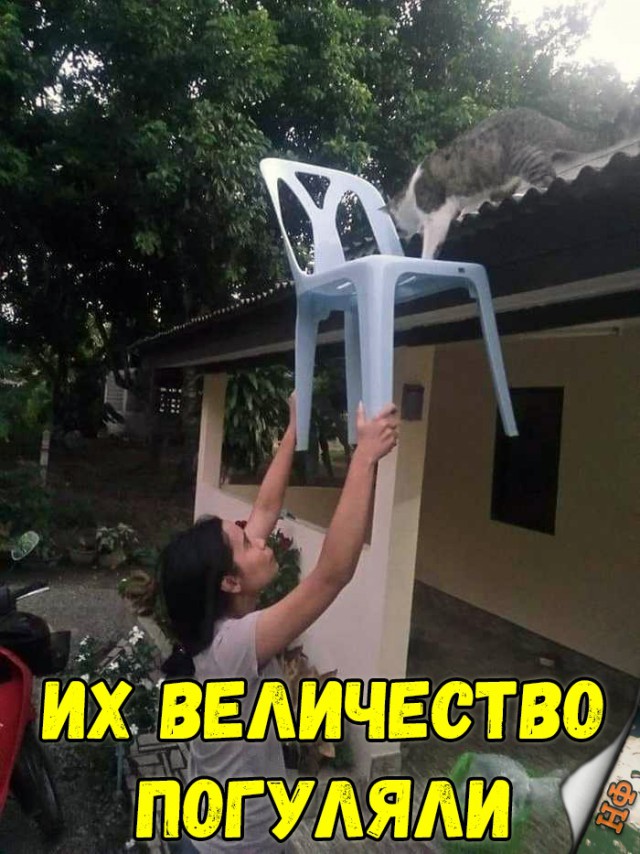 Нестандартный юмор