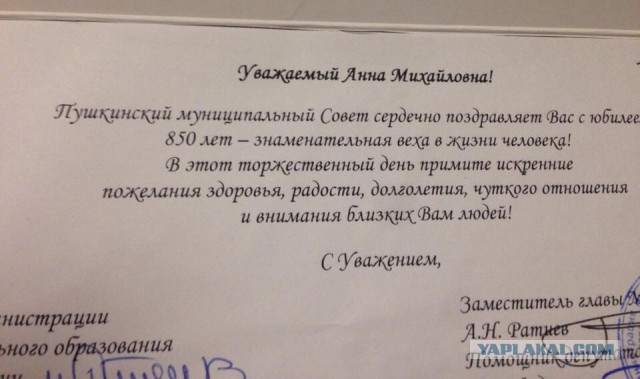 «Уважаемый Анна Михайловна». Муниципалы в Пушкине поздравили пенсионерку с 850-м днем рождения и пожелали ей долголетия