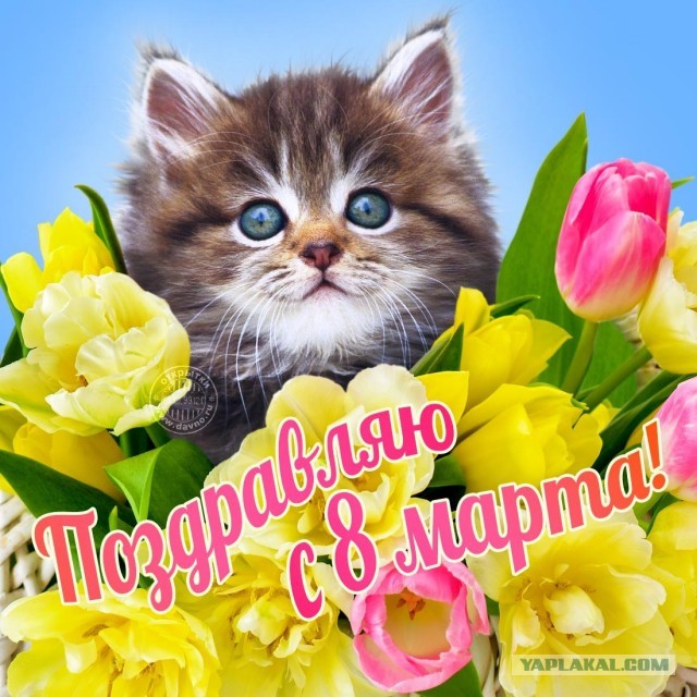 С прекрасным праздником весны!