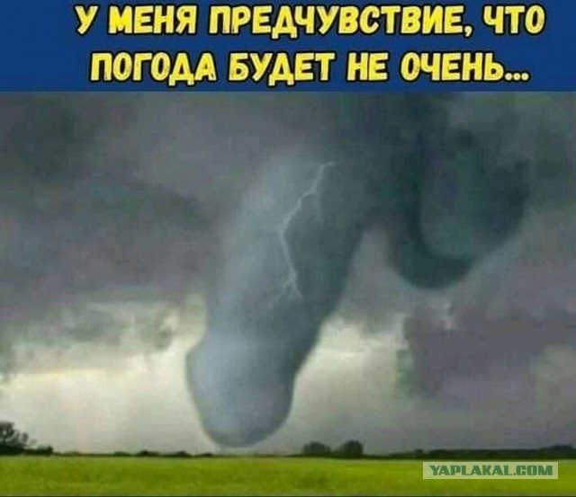 50 так себе картинок 27.05.20