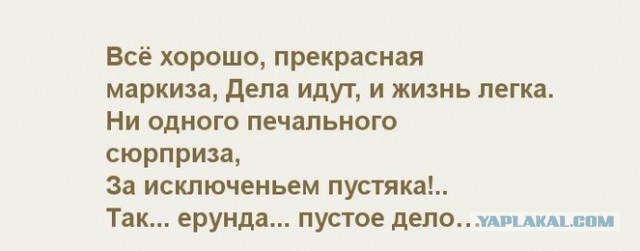 Лёха просит рассудить