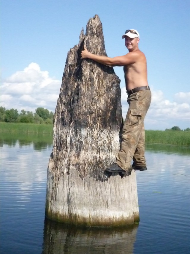 Фотожаба: На пеньке