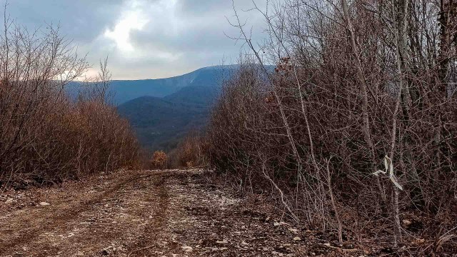 От лесной горы до  участка. Отчет