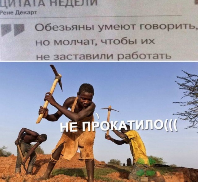 Картинки и мемы, всем прекрасных выходных